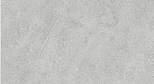 MZS-1.jpg
